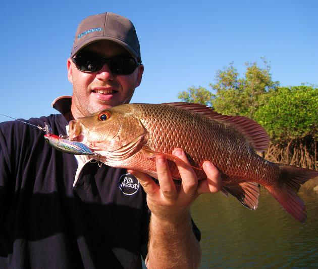 42cm Jack caught today, released